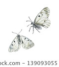 Gray butterflies of memory, Mnemosyne. Hand drawn isolated vector illustration. Watercolor clip art for Remembrance Day cards, invitations and labels. Suitable for holiday banners and posters. 139093055