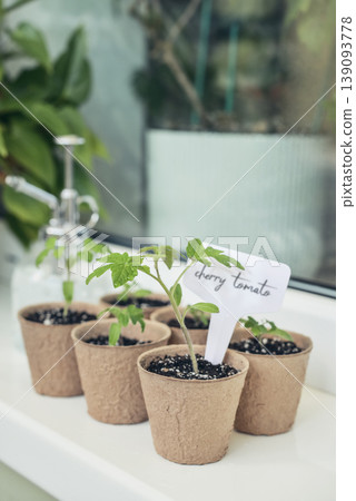 Concept of home gardening, organic food, and sustainable lifestyle. 139093778