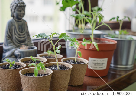 Concept of home gardening, organic food, and sustainable lifestyle. Concept of home gardening, organic food, and sustainable lifestyle. 139093823