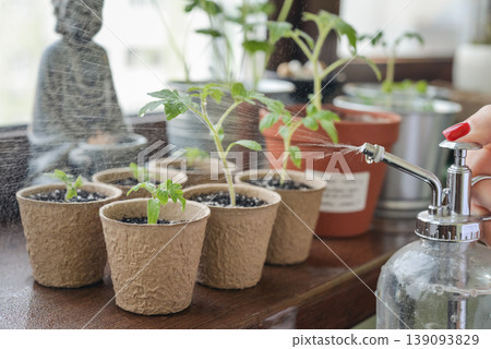 Concept of home gardening, organic food, and sustainable lifestyle. Concept of home gardening, organic food, and sustainable lifestyle. 139093829