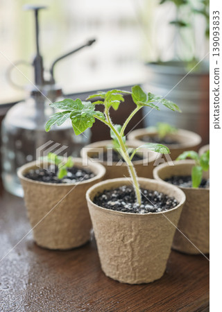 Concept of home gardening, organic food, and sustainable lifestyle. 139093833