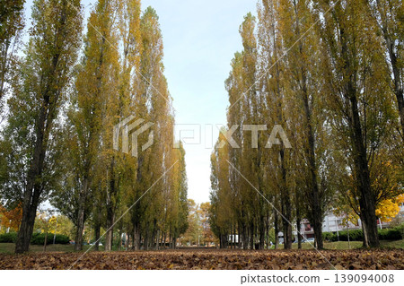 Park in Malesnica residential area, Zagreb, Croatia Park in Malesnica residential area, Zagreb, Croatia 139094008
