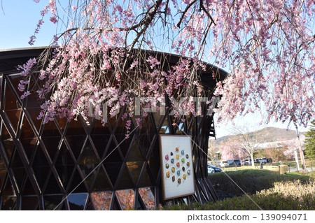 The buildings of Karuizawa Outlet Mall and cherry blossoms: A spring scene in the shopping area. The buildings of Karuizawa Outlet Mall and cherry blossoms: A spring scene in the shopping area. 139094071