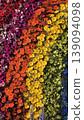 Rainbow flower background with vivid blossoms. Floral texture background with vibrant colors and decorative composition symbolizing diversity, inclusion, and LGBTQ pride. 139094098