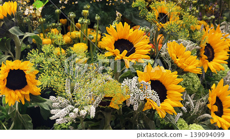 Sunflower background with bright yellow sunflower flowers. Sunflower wallpaper. Vibrant floral composition symbolizing summer, warmth, and positivity. 139094099