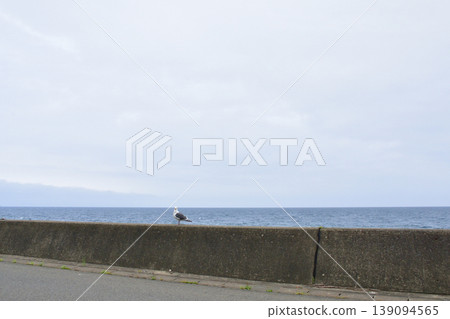 Scenery along National Route 339 from JR East's Mimaya Station to Cape Tappi (2023) 139094565