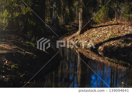 Shady spring park with a winding stream.. Shady spring park with a winding stream.. 139094641