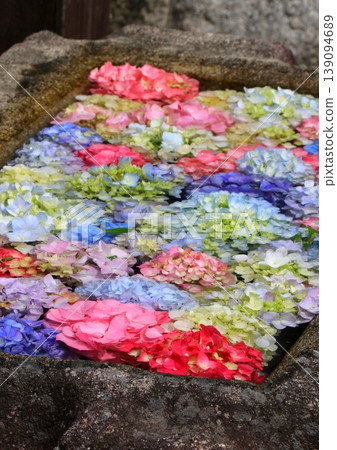 Hydrangea floating in the waterhouse Hydrangea floating in the waterhouse 139094689