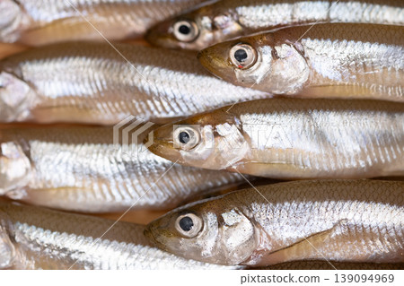 Image of young smelt from Shiga Prefecture, suitable for tempura and karaage (Japanese fried chicken). Image of young smelt from Shiga Prefecture, suitable for tempura and karaage (Japanese fried chicken). 139094969