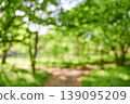 A refreshing background image of a sidewalk surrounded by lush greenery. 139095209