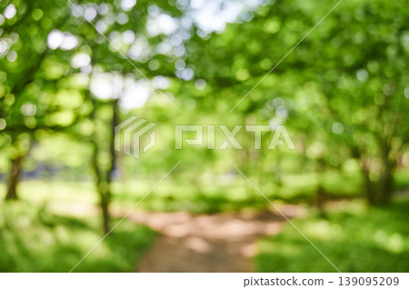 A refreshing background image of a sidewalk surrounded by lush greenery. A refreshing background image of a sidewalk surrounded by lush greenery. 139095209