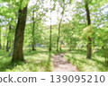walk in the green forest 139095210
