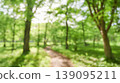 Refreshing fresh green background material 139095211