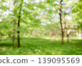 Refreshing green background material 139095569