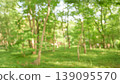 Refreshing fresh green background material 139095570