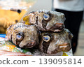Pufferfish lined up in the market 139095814