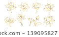 Lotus flower botanical set with blossom bud leaf floral line art illustration for spa zen decoration luxury design and wellness concept 139095827