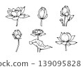 Lotus flower botanical set with blossom bud leaf nature floral line art illustration for spa zen decoration and tattoo design 139095828
