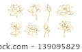 Lotus flower botanical set with blossom bud leaf floral line art illustration for spa zen decoration luxury design and wellness concept 139095829