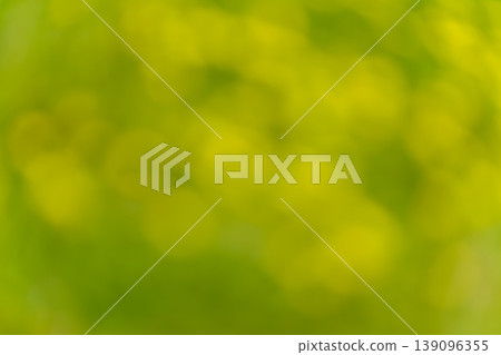Vibrant green bokeh background material created by sunlight filtering through the fresh green leaves. Vibrant green bokeh background material created by sunlight filtering through the fresh green leaves. 139096355