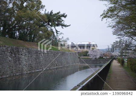 Kyoto scenery: View of the moat and cherry blossoms from the walking path of Nijo Castle (former imperial villa) 1 139096842
