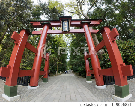 Yahiko Shrine 139096851