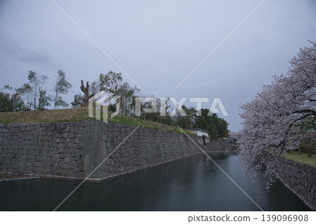Kyoto scenery: Views of the moat and cherry blossoms from the walking path of Nijo Castle (former imperial villa) 8 139096908