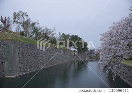 京都景色:從二條城(原皇宮別墅)步道眺望護城河和櫻花 12 京都景色:從二條城(原皇宮別墅)步道眺望護城河和櫻花 12 139096911