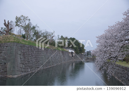 京都景色:從二條城(原皇宮)步道上眺望護城河和櫻花 13 京都景色:從二條城(原皇宮)步道上眺望護城河和櫻花 13 139096912