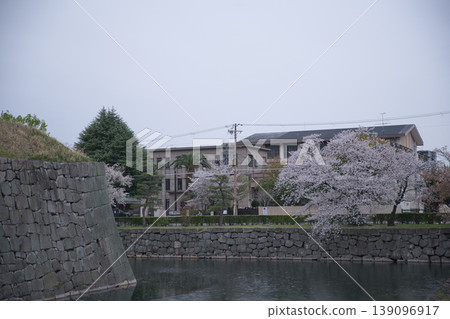 京都景色:從二條城(原皇宮別墅)步道上眺望護城河和櫻花 3 京都景色:從二條城(原皇宮別墅)步道上眺望護城河和櫻花 3 139096917