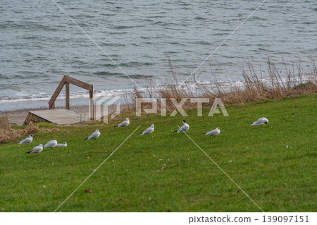 the city of Aarhus in Denmark 139097151