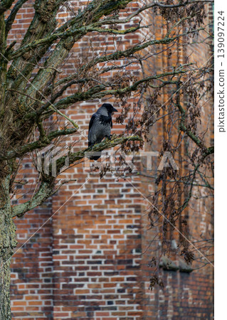 the danish city Aarhus 139097224