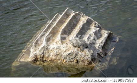 Turtle resting on an ancient stone column fragment submerged in water at Letoon Sacred Area, historic Lycian ruins near city of Xanthos, Mugla, Turkey 139097597
