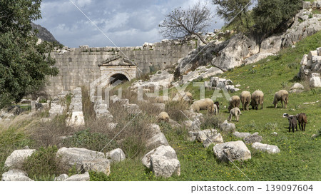 Sheep grazing among the ancient ruins and arched entrance of Letoon Sacred Area, historic Lycian ruins near city of Xanthos, Mugla, Turkey Sheep grazing among the ancient ruins and arched entrance of Letoon Sacred Area, historic Lycian ruins near city of Xanthos, Mugla, Turkey 139097604