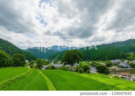 美麗的梯田和依山而建的村莊,展現了典型的日本風景。 美麗的梯田和依山而建的村莊,展現了典型的日本風景。 139097695