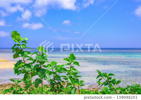 石垣島晴朗的夏日天空和海景在生機勃勃的綠色植物之外綿延展開。 139098201