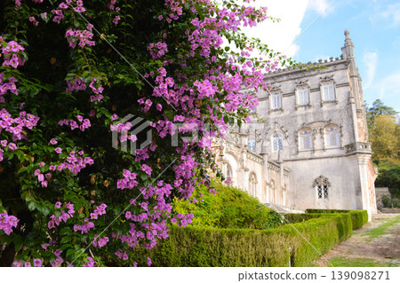 Blooming bougainvillea and vegetation in the park in front of the Busaco Palace in Portugal Coimbra region. Themes include travel, cultural heritage, and natural beauty. Blooming bougainvillea and vegetation in the park in front of the Busaco Palace in Portugal Coimbra region. Themes include travel, cultural heritage, and natural beauty. 139098271