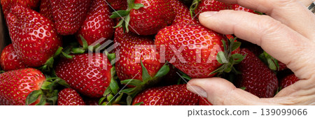 Fresh strawberries wooden box hand picking Fresh strawberries wooden box hand picking 139099066