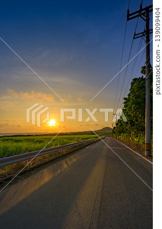 The early morning light spreads across the sugarcane fields of Ishigaki Island. 139099404
