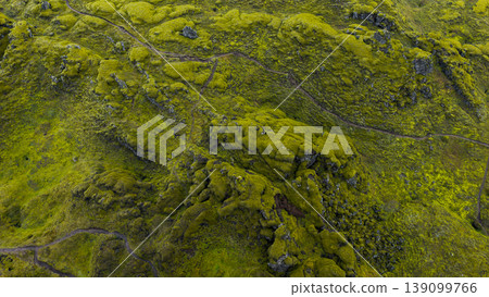 Aerial View of Moss Covered Volcanic Landscape in Iceland Aerial View of Moss Covered Volcanic Landscape in Iceland 139099766