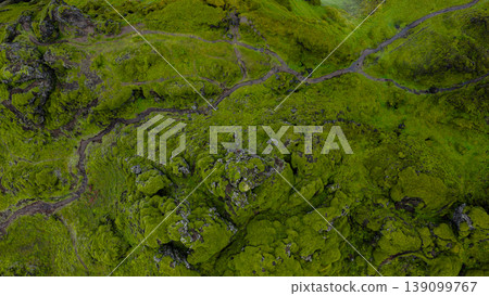 Aerial View of Moss Covered Volcanic Landscape in Iceland Aerial View of Moss Covered Volcanic Landscape in Iceland 139099767