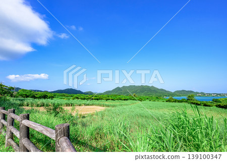 石垣島的夏日美景：碧綠的海在藍天綠草的襯托下綿延不絕。 139100347