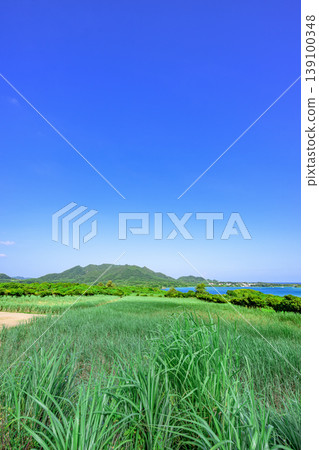 A refreshing summer scene on Ishigaki Island: the emerald sea stretches out beyond the blue sky and green meadows. A refreshing summer scene on Ishigaki Island: the emerald sea stretches out beyond the blue sky and green meadows. 139100348