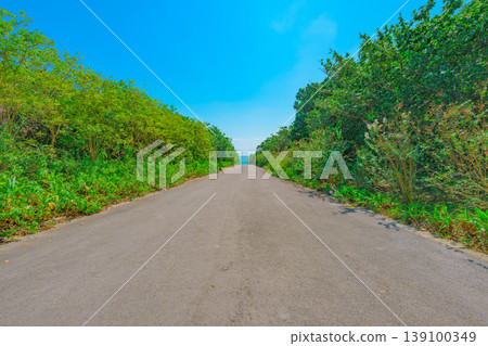 石垣島上一條安靜筆直的道路,周圍環繞著藍天和鬱鬱蔥蔥的綠樹。 石垣島上一條安靜筆直的道路,周圍環繞著藍天和鬱鬱蔥蔥的綠樹。 139100349