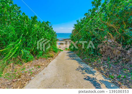 The narrow paths leading to the beach in Ishigaki Island exude a tropical atmosphere. The narrow paths leading to the beach in Ishigaki Island exude a tropical atmosphere. 139100353