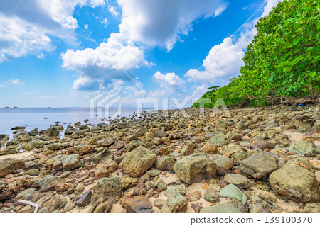 石垣島大崎海灘的海岸景觀,岩石海岸,藍天白雲點綴其間。 石垣島大崎海灘的海岸景觀,岩石海岸,藍天白雲點綴其間。 139100370