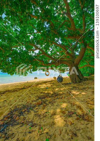 The seaside scenery of Sakieda Minamihama, Ishigaki Island, is striking with its large shaded trees and swings. The seaside scenery of Sakieda Minamihama, Ishigaki Island, is striking with its large shaded trees and swings. 139100697