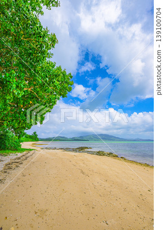 A summer scene at Osaki Beach in Ishigaki Island, where the blue sea stretches out beyond the shade of trees and white sand. 139100704