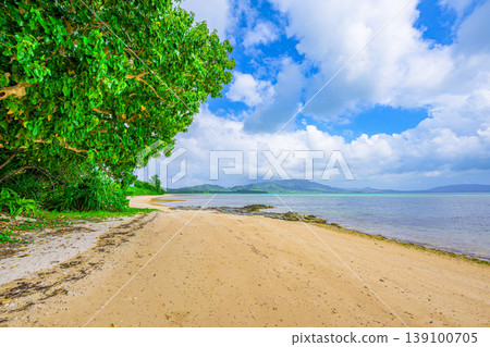 這是石垣島大崎海灘的夏日景色，碧藍的大海在樹蔭和白沙之外綿延開來。 139100705