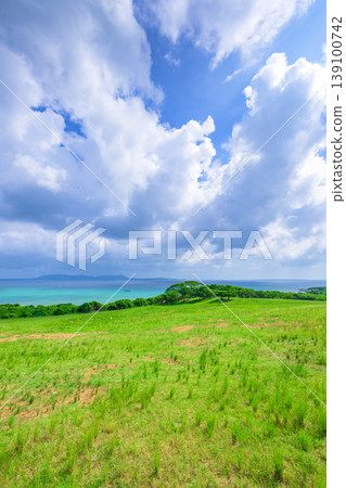 A breathtaking grassland landscape of Ishigaki Island, overlooking white clouds and the blue sea. A breathtaking grassland landscape of Ishigaki Island, overlooking white clouds and the blue sea. 139100742